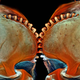 Illustration for article titled The Alien and Eerie Beauty of the Year's Best Microscopic Photos